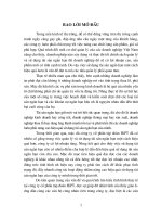 Luận văn giải pháp nâng cao hiệu quả sử dụng tài sản lưu động tại công ty XNK nông sản thực phẩm hà nội 