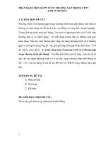 SKKN phân dạng một số phương trình vô tỉ thường gặp trong chương trình phổ thông 