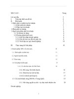 Tiểu luận lợi nhuận chưa phân phối 