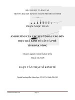 Ảnh hưởng của các yếu tố đầu vào đến hiệu qủa kinh tế caphe Daknong
