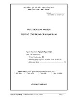 SKKN một số ỨNG DỤNG của đạo hàm 