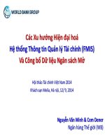 Các Xu hướng Hiện đại hoá Hệ thống Thông tin Quản lý Tài chính (FMIS) Và Công bố Dữ liệu Ngân sách Mở