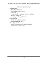 SKKN sử DỤNG kĩ THUẬT lập BẢNG THỐNG kê TRONG dạy học địa lí lớp 12 