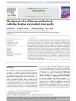 The characteristics of biomass gasification in multistage heating and gradient chain gasifier