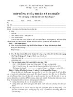 Hop dong thoa thuan  cam ket 