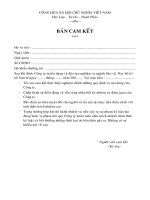 Mẫu đơn bản cam kết mới