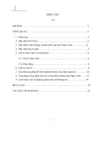 Đề tài nghiên cứu về sâm ngọc linh và hàm lượng các chất trong sâm ngọc linh