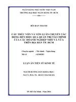 Cấu trúc vốn và vốn luân chuyển tác động đến hiệu quả quản trị tài chính của các doanh nghiệp nhỏ và vừa trên địa bàn TP.HCM