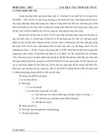 skkn các QUY tắc TÍNH xác SUẤT 