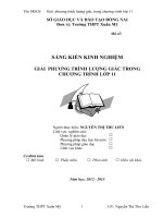 SKKN giải  phương trình lượng giác trong chương trình lớp 11 