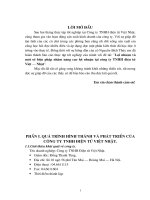 Tiểu luận lợi nhuận và 1 số biện pháp nhằm nâng cao lợi nhuận tại công ty TNHH điện tử việt   nhật 