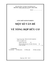 SKKN một số vấn đề về TỔNG hợp hữu cơ 