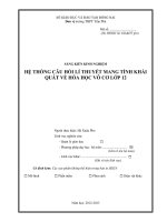 SKKN hệ THỐNG câu hỏi lí THUYẾT MANG TÍNH KHÁI QUÁT về hóa học vô cơ lớp 12 