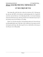 skkn GIẢI hệ PHƯƠNG TRÌNH HAI ẩn lý DO CHỌN đề tài 