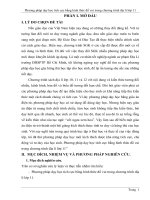 SKKN phương pháp dạy học tích cực bằng hình thức đố vui trong chương trình địa lí lớp 11 