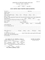 Giay chung nhan truong hop bi thuong 