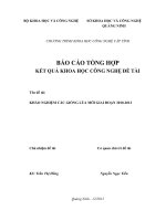 Báo cáo Khảo nghiệm các giống lúa mới gia đoạn 2010  2012