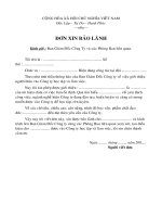 Don xin bao lanh CTy 