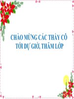 Bài 9- Tế bào nhân thực