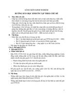 SKKN HƯỚNG dẫn học SINH ôn tập THEO CHỦ đề 