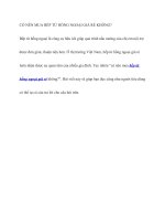 CÓ nên MUA bếp từ HỒNG NGOẠI GIÁ rẻ KHÔNG