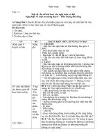 Giáo án dạy học chủ đề tự chọn Ngữ văn 12  cả năm