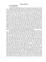 skkn một số biện pháp nâng cao chất lượng hoạt động giáo dục ngoài giờ lên lớp  của hiệu trưởng trường 