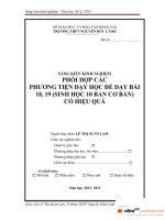 SKKN PHỐI HỢPCÁC PHƯƠNG TIỆN dạy học để dạy bài 18, 19(SINH học 10 BAN cơ bản) có HIỆU QUẢ 