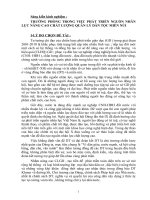 skkn trưởng phòng trong việc phát triển nguồn nhân lực nâng cao chất lượng quản lý dân tộc miền núi 