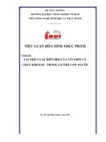 Vai trò và sự biến đổi của Vitamin và chất khoáng trong cơ thể con người