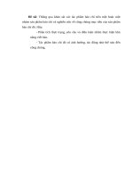 tiểu luận cao học Thông qua khảo sát các tác phẩm báo chí trên một hoặc một nhóm sản phẩm báo chí và nghiên cứu về công chúng mục tiêu của sản phẩm báo chí đó  hãy