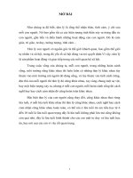 Tâm lý sáng tạo một tác phẩm báo chí  tiểu luận cao học