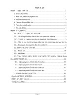 skkn một số kinh nghiệm vận dụng kiến thức các môn tự nhiên để giảng dạy hiệu quả chương trình địa lí tự nhiên lớp 10 