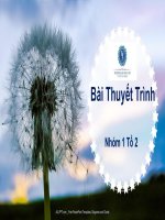 Bài thuyết trình môn đường lối đảng CSVN