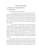 Nghiên cứu tổng quan xúc tác zeolit