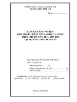skkn một số giải pháp chỉ đạo dạy và học theo chủ đề năm học 2015 2016 tại  trường THPT điểu cải 