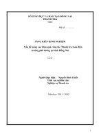 skkn vấn đề nâng cao hiệu quả công tác thanh tra toàn diện trường phổ thông tại tỉnh đồng nai 