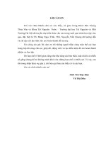 Nghiên cứu áp dụng hệ thống phân tích lũ tích hợp IFAS cho lưu vực sông Vu Gia  Thu Bồn.