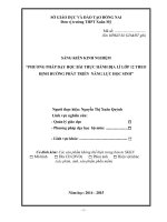 skkn phương pháp dạy học bài thực hành địa lí lớp 12 theo định hướng phát triển năng lực học sinh 