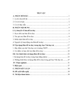 skkn bản đồ tư DUY VÀ KHẢ NĂNG vận DỤNG VÀO BÀI HỌC văn HỌC sử ở TRƯỜNG THPT 