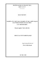Nghiên cứu chế tạo cảm biến từ dựa trên mạch cầu wheatstone có cấu trúc các nhánh tròn 
