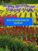 Bài giảng điện tử mầm non lớp Chồi đề tài KPXH: Trò chuyện về ngày tết nguyên đán