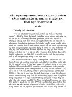 BẢO VỆ TRẺ EM BỊ XÂM HẠI TÌNH DỤC Ở VIỆT NAM