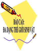 thực hành: Đa dạng sinh học lớp 10