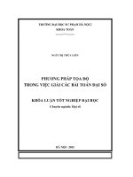 Phương pháp tọa độ trong việc giải các bài toán đại số 