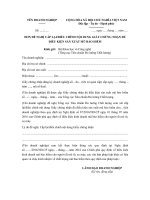 Đơn đề nghị cấp lại/điều chỉnh nội dung giấy chứng nhận đủ điều kiện sản xuất mũ bảo hiểm