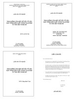 ảnh hưởng của một số yếu tốn lên quá trình sản xuất syrup glucoso