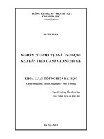 Nghiên cứu chế tạo và ứng dụng keo dán trên cơ sở cao su nitril 