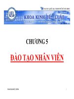 Bài giảng quản trị nguồn nhân lực chương 5   TSKH  phạm đức chính