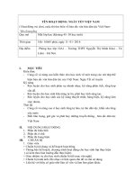 HOẠT ĐỘNG: NGÀY TẾT VIỆT NAM